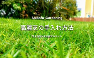 芝生のエアレーションとは 時期 頻度 スパイク道具を紹介 芝生のdiyなら芝生ガーデニング