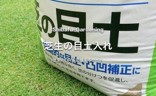 根切り 芝生のスライシング作業でいつまでも綺麗な芝生を維持する 芝生のdiyなら芝生ガーデニング