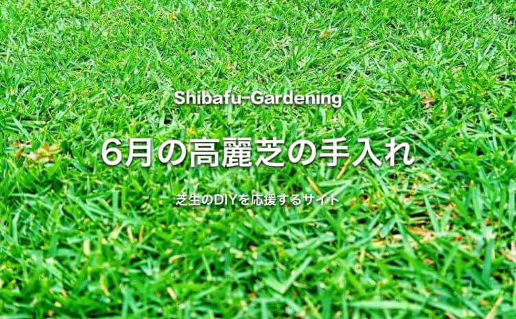 芝生の手入れ 年間スケジュール に関する記事一覧 芝生のdiyなら芝生ガーデニング