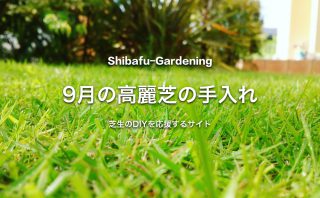 2月の高麗芝の手入れ 芝生のdiyなら芝生ガーデニング