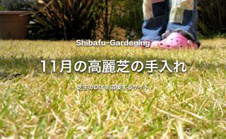 12月の高麗芝の手入れ 芝生のdiyなら芝生ガーデニング