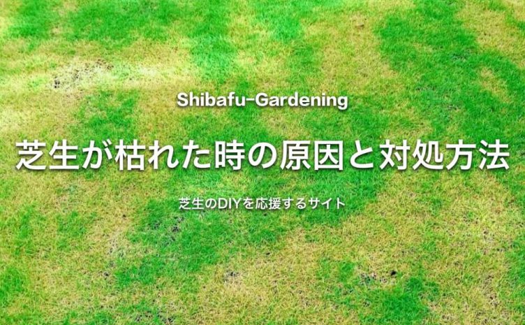 芝生のトラブルに関する記事一覧 芝生のdiyなら芝生ガーデニング