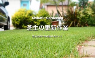 12月の高麗芝の手入れ 芝生のdiyなら芝生ガーデニング