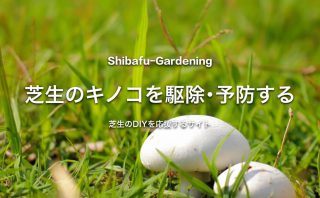 芝生が枯れる原因と再生する方法 芝生のdiyなら芝生ガーデニング