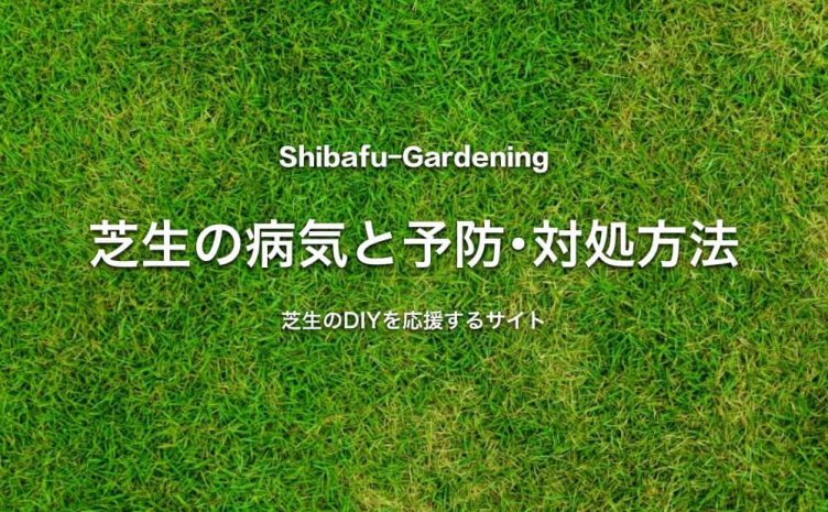 芝生のトラブルに関する記事一覧 芝生のdiyなら芝生ガーデニング