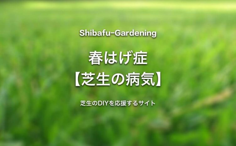 芝生のトラブルに関する記事一覧 芝生のdiyなら芝生ガーデニング