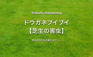 芝生の害虫と対処 予防方法 芝生のdiyなら芝生ガーデニング