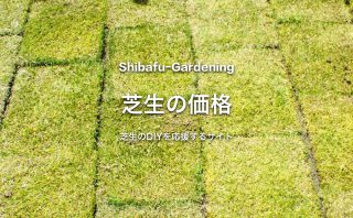 芝生の購入方法とショップによる価格の違いを知ろう 芝生のdiyなら芝生ガーデニング